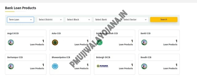 Check Term loan