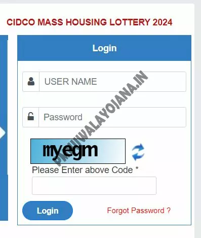 Login Form