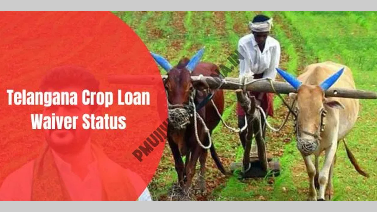 Telangana Crop Loan Waiver Status