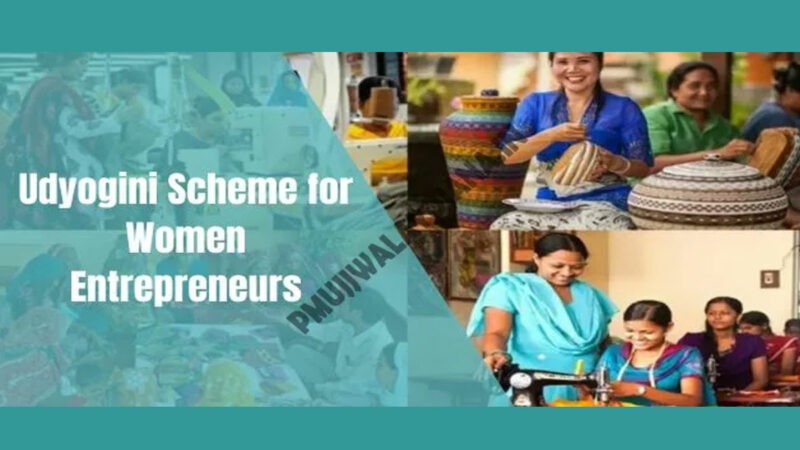 Udyogini-Scheme-for-Women-Entrepreneurs