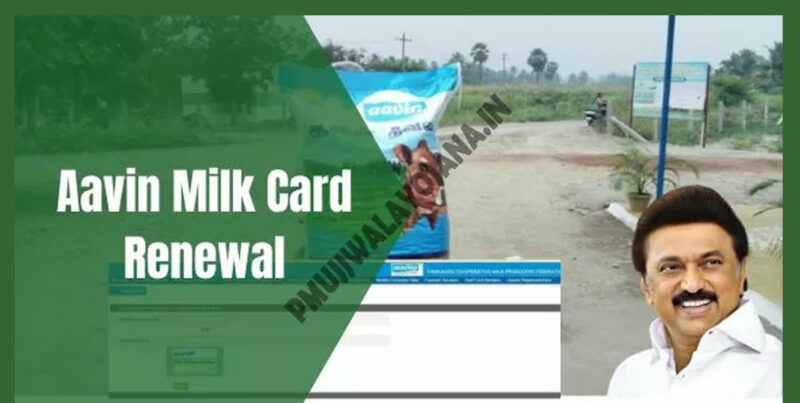 Aavin Milk Card Renewal