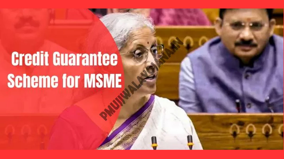 Credit Guarantee Scheme for MSME