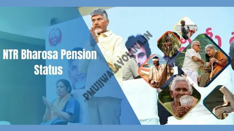 NTR Bharosa Pension Status