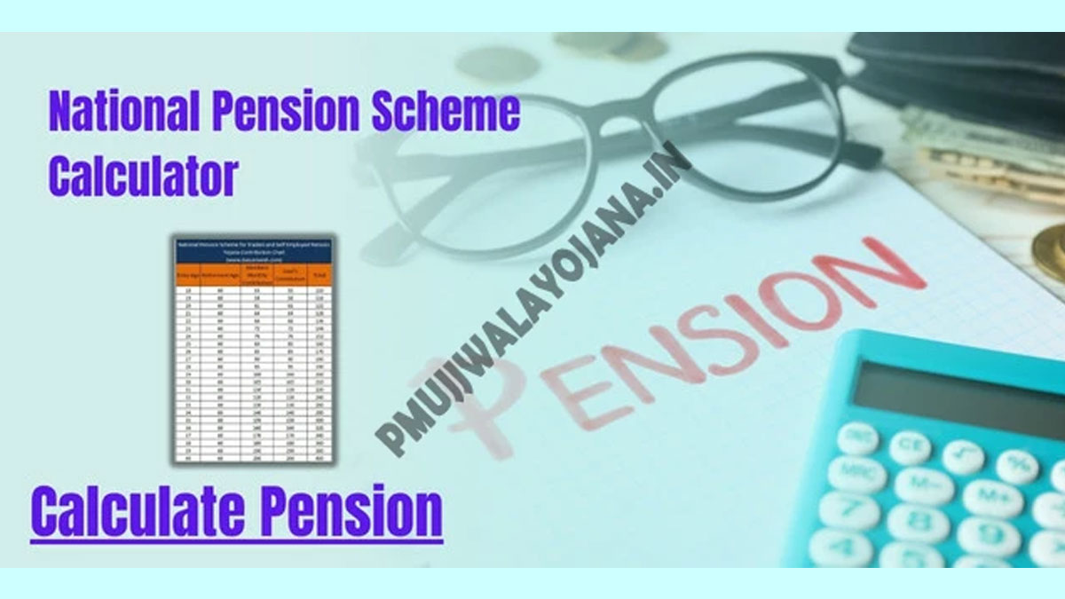 National Pension Scheme Calculator