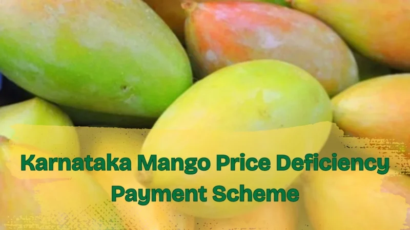 Karnataka Mango Price Deficiency Payment Scheme